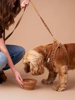 -Gamelle en silicone rétractable pour chien et chat