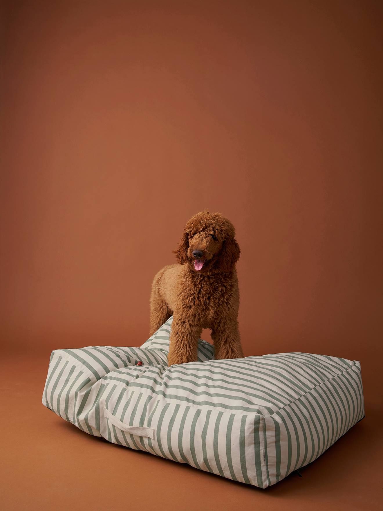 Matelas XL pour chien rayé vert