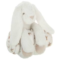 Linge de maison et décoration-Linge de lit enfant-Plaid peluche - mouton