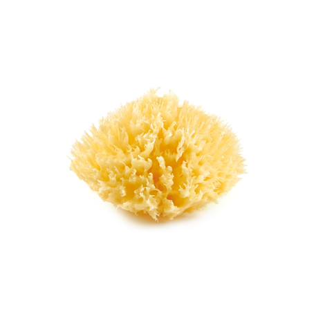 Thermobaby - Eponge De Mer Honeycomb Jaune