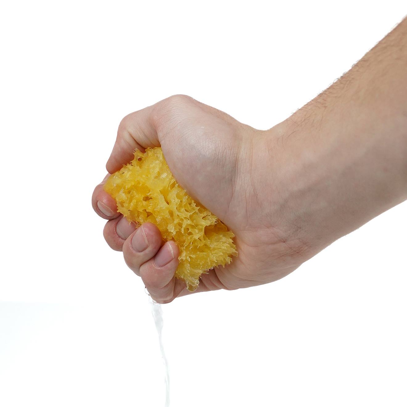 Eponge De Mer Honeycomb Jaune (Thermobaby) - Image 2