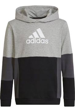 Sweat à capuche coton  - vertbaudet enfant