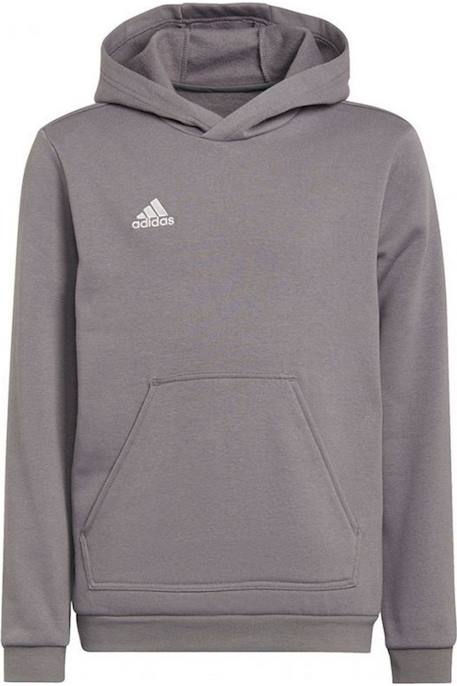 Sweat à capuche pour Enfant - Coton - Entrada 22  - vertbaudet enfant