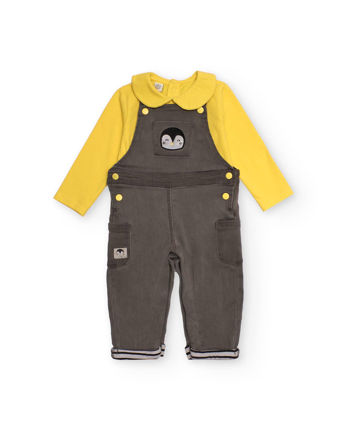 Ensemble Bébé T-shirt Et Salopette Brodée Pingouin Gris
