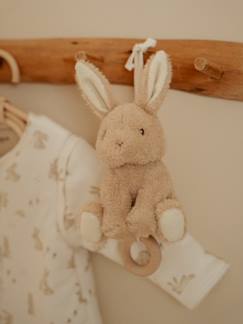 Jouet-Premier âge-Boite à musique Lapin - Newborn