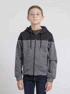 Sweat zippé capuche wildomax garçon  - vertbaudet enfant