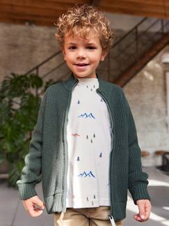 Gilet Col Montant Manches Longues garçon  - vertbaudet enfant