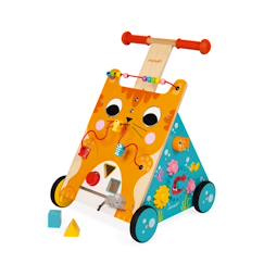 Jouet-Premier âge-Bascules, chariots de marche, trotteurs et porteurs-Chariot multi-activités chat