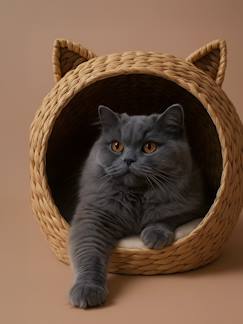 -Panier pour chat en jacinthe d'eau