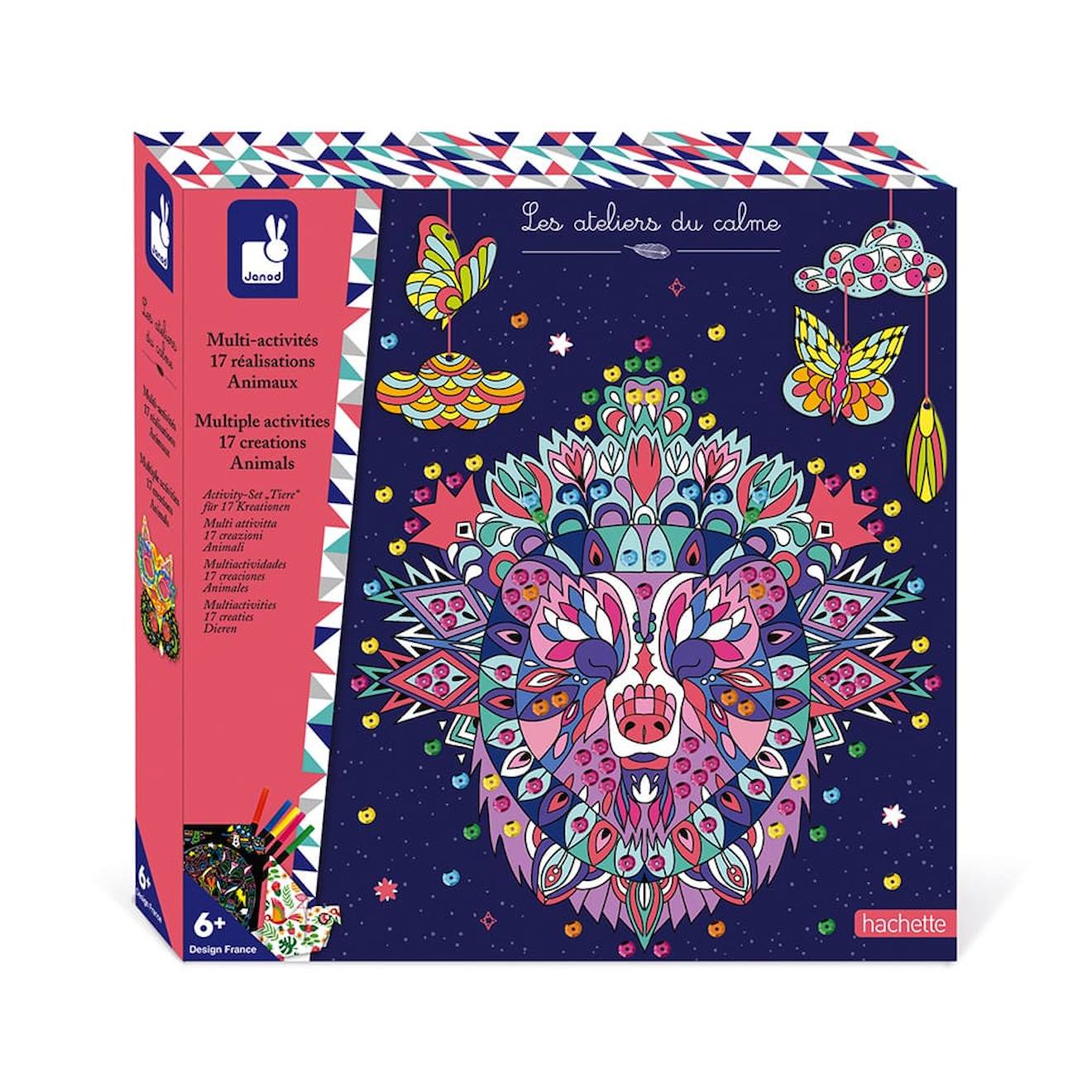 Coffret Multiactivité 17 Réalisations Animaux Multicolore