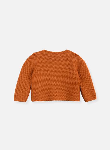 Cardigan bébé 4 boutons coton bio Citrouille (marsala)+Corail+Farine+Moutarde+Rose petunia+Vert billard 2 - vertbaudet enfant 