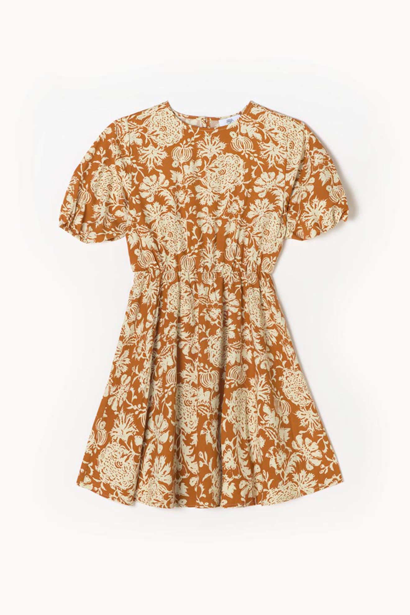 Robe Droite Joubarbg Coco