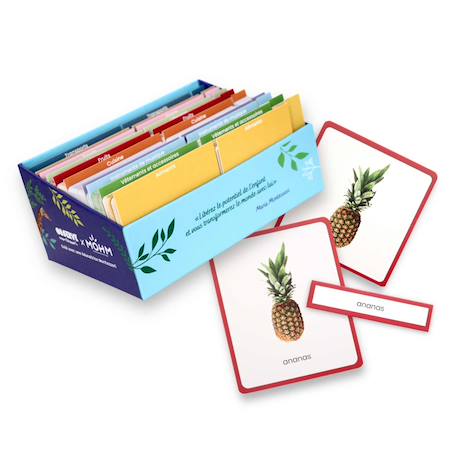 Observe Montessori - Giga Mondy, Cartes De Nomenclature Montessori Multicolore