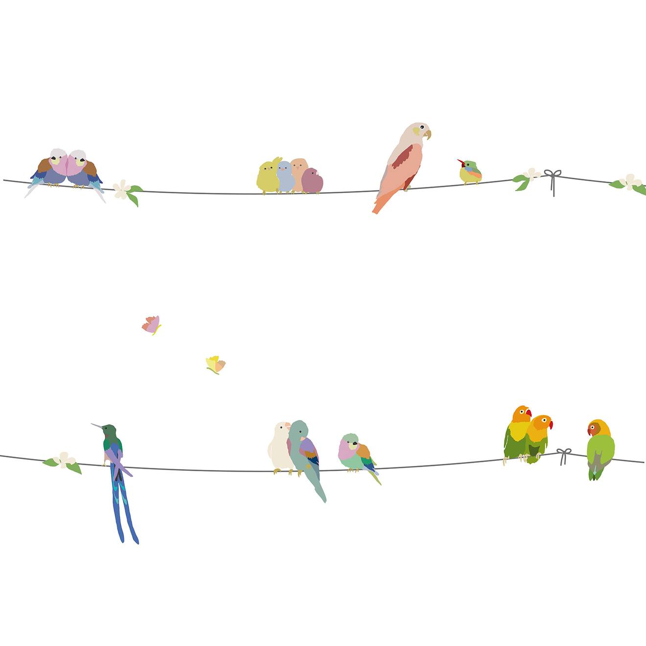 Frise Adhésive With The Birds (5 M) Vert, Rose, Bleu